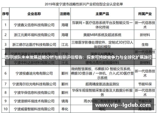 西甲球队未来发展战略分析与前景评估报告：探索可持续竞争力与全球化扩展路径