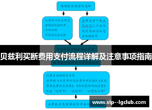 贝兹利买断费用支付流程详解及注意事项指南