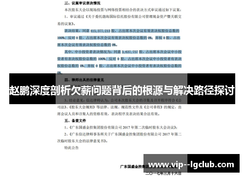 赵鹏深度剖析欠薪问题背后的根源与解决路径探讨